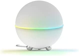4 Lights Homey with Mini Google Nest