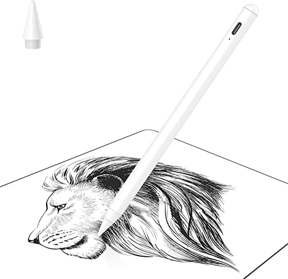 Soke Stylus Pen for iPad Touch Screen with Palm Rejection, Active Pencil Compatible with (2018-2021) Apple iPad Pro 11/12.9 Inch, iPad 6/7/8th, iPad Air 3rd/4th, iPad Mini 5th Gen for Writing/Drawing