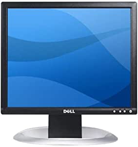 Dell 1707FPV LCD Monitor (17in)