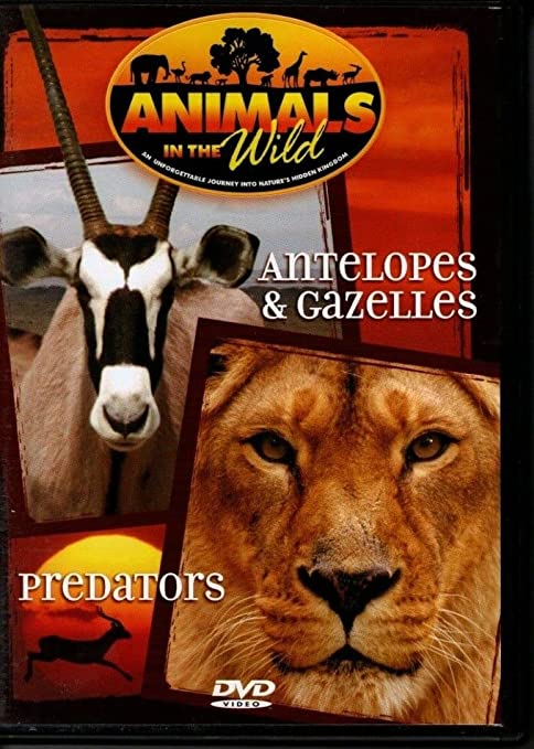 ANIMALS IN THE WILD PREDATORS ANTELOPES & GAZELLES (dvd)