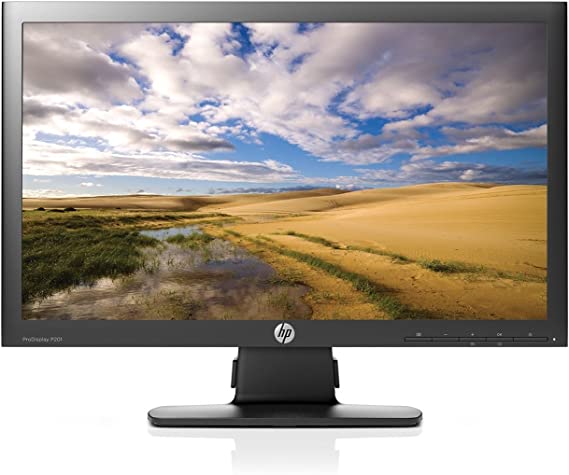 HP ProDisplay P201 20' LED LCD Monitor - 16:9-5 ms