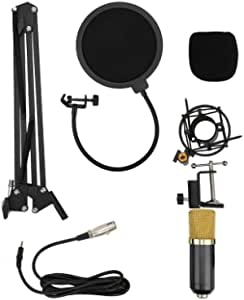 Lightweight Condenser Microphone for Individual Recording for Singers (Color : Flat gold black)