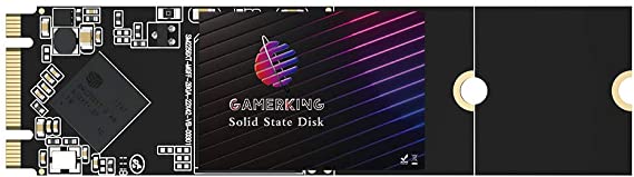 Gamerking SSD M.2 2280 1TB NGFF Internal Solid State Drive High Performance Hard Drive for Desktop Laptop SATA III 6Gb/s M2 SSD (1TB, M.2 2280)