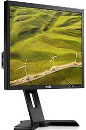 Dell LCD 19in Monitor - P190S