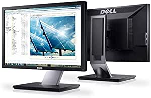 Dell Professional P1911 19in Monitor LED