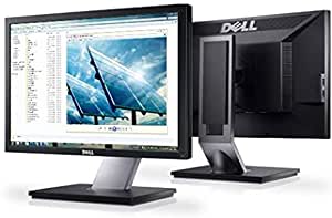 Dell Professional P1911 19in Monitor LED