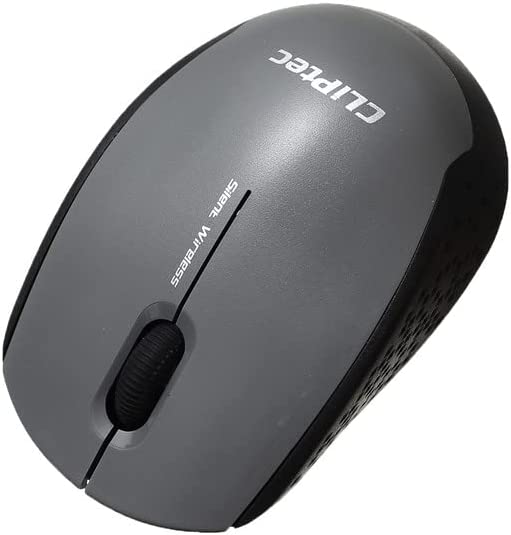 CLiPTec RZS806S Wireless Mouse - Gray